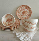 Pajarito Coral Plate and Bowl Set (8 piece set)