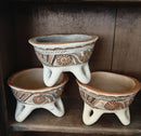 Tierra Viva Bowl