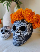 Calavera Encantada (L)