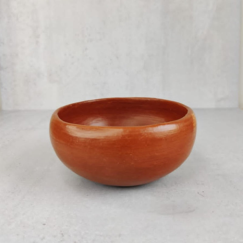 Barro Rojo: Soup Bowl