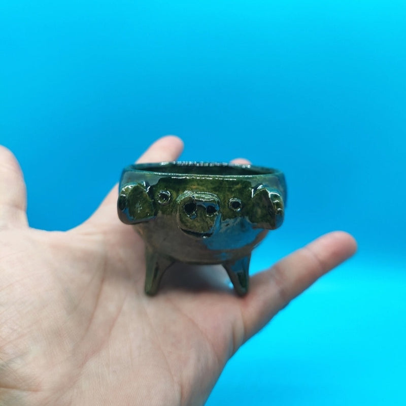 Barro Verde: Puerquito