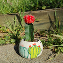Cactus Planter