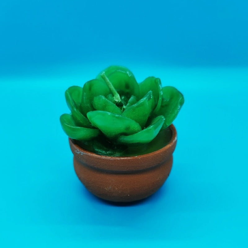 Succulent Candle with Clay Base
