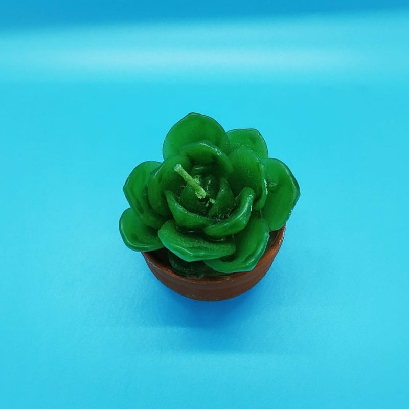 Succulent Candle with Clay Base